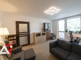 Prodej bytu 2+1, Brno, Luční, 50 m2