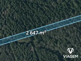 Prodej lesa, Dvory nad Lužnicí, 2647 m2
