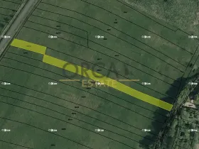 Prodej pole, Hrobice, 2279 m2