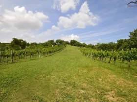 Prodej sadu/vinice, Bzenec, 2460 m2