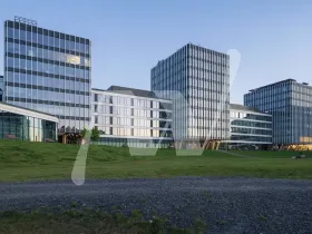 Pronájem kanceláře, Praha - Holešovice, Pod dráhou, 673 m2