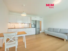 Pronájem bytu 1+kk, Praha - Michle, Hodonínská, 34 m2