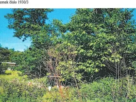 Prodej lesa, Chotěboř, 86 m2