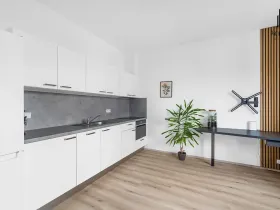 Prodej bytu 1+kk, Brno, Gajdošova, 32 m2