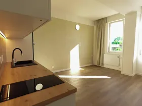 Prodej bytu 1+kk, Znojmo, Cihlářská, 27 m2