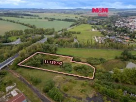 Prodej louky, Toužim, 11139 m2