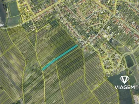 Prodej podílu pole, Hrušky, 293 m2