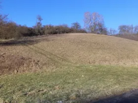 Prodej pole, Snědovice, 3880 m2