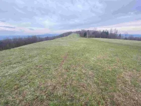 Prodej pole, Mírová pod Kozákovem - Vesec, 14714 m2
