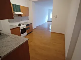 Pronájem bytu 1+1, Plzeň, Pod Všemi svatými, 54 m2