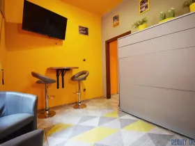 Pronájem bytu 1+kk, Praha - Žižkov, Blodkova, 20 m2