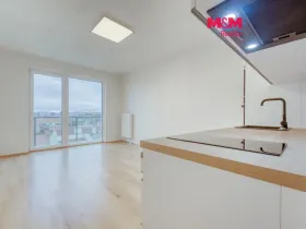 Pronájem bytu 2+kk, Plzeň - Jižní Předměstí, Poděbradova, 44 m2
