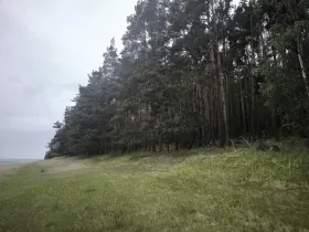 Prodej lesa, Čečelice, 21226 m2