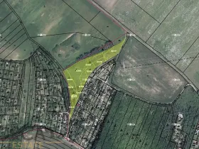 Prodej podílu lesa, Vojkovice, 4526 m2