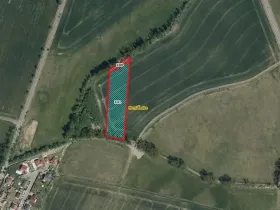 Prodej pole, Horní Ředice, 7349 m2