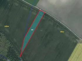 Prodej pole, Běchary, 12202 m2