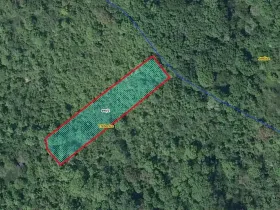 Prodej lesa, Třebenice, 1475 m2