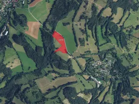 Prodej louky, Dalečín, 12868 m2