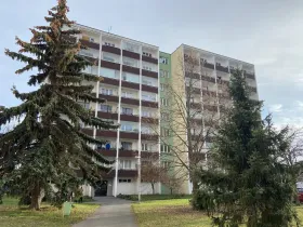 Pronájem bytu 2+1, Mladá Boleslav - Mladá Boleslav II, Palackého, 55 m2