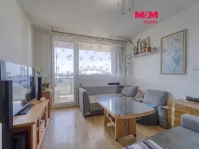 Pronájem bytu 1+1, Plzeň, Čermákova, 34 m2