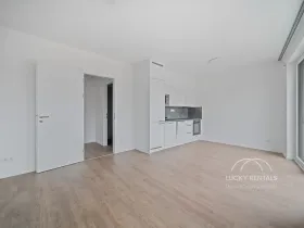 Pronájem bytu 1+kk, Praha - Chodov, Líbalova, 32 m2