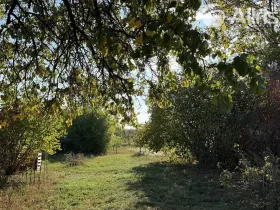 Prodej zahrady, Vojkovice, 910 m2
