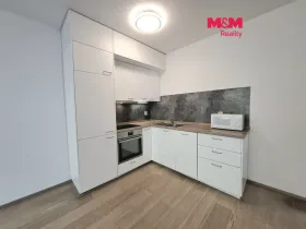 Pronájem bytu 1+kk, Praha - Michle, Nuselská, 41 m2