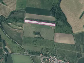 Prodej sadu/vinice, Želkovice, 16344 m2