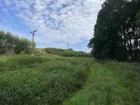 Prodej pole, Tachov, 2776 m2