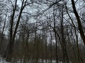 Prodej pozemku, Kralupy nad Vltavou, 719 m2