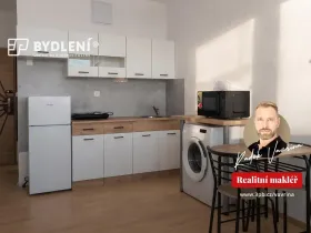 Pronájem bytu 1+kk, Ústí nad Labem, Hoření, 22 m2