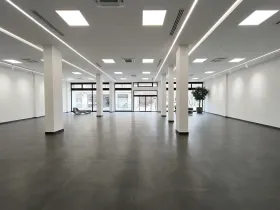 Pronájem obchodního prostoru, Ústí nad Labem, Masarykova, 423 m2