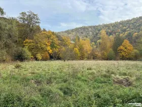 Prodej louky, Štěchovice, 4119 m2