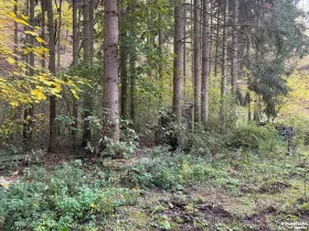 Prodej lesa, Štěchovice, 2074 m2
