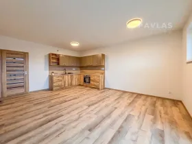 Pronájem bytu 2+kk, České Budějovice, Doudlebská, 67 m2