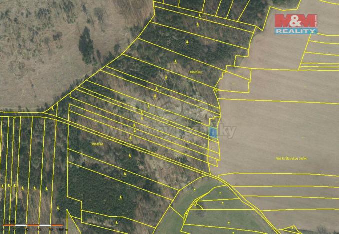 Prodej lesa, Stehlovice, 3290 m2