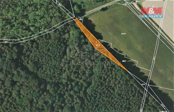 Prodej lesa, Všeruby, 892 m2