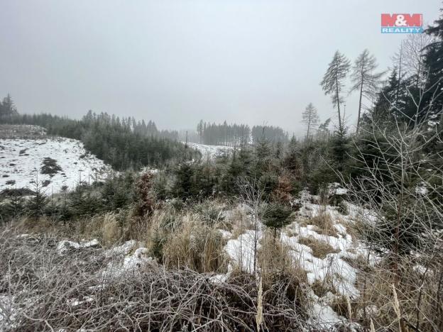 Prodej lesa, Vidochov - Stupná, 4368 m2