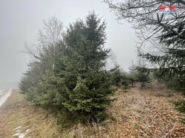 Prodej lesa, Stará Paka, 20974 m2