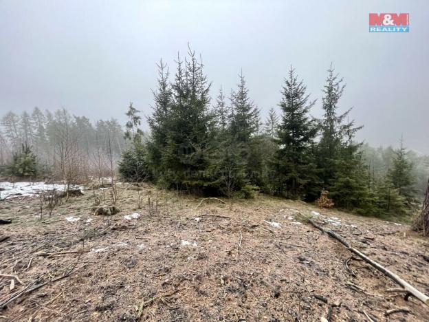 Prodej lesa, Pecka, 20194 m2