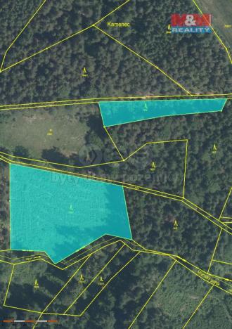 Prodej lesa, Železný Brod, 8638 m2