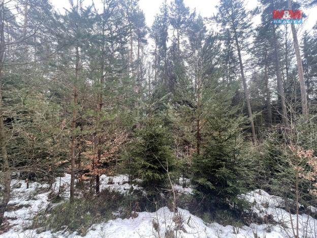 Prodej lesa, Záhoří - Smrčí, 12219 m2