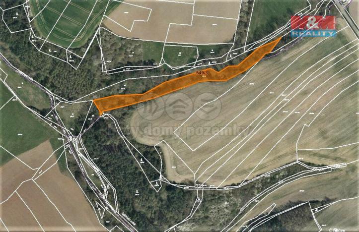 Prodej lesa, Dobříč, 4593 m2