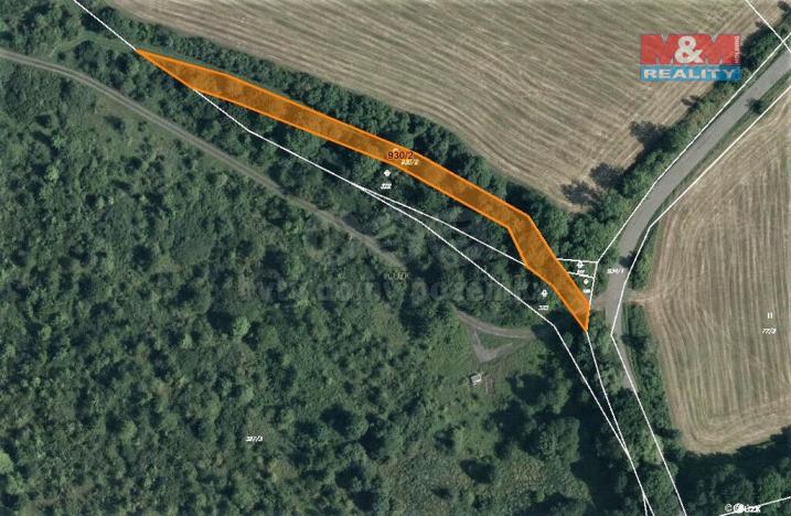 Prodej lesa, Mašťov, 1300 m2