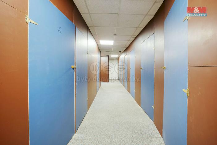 Pronájem skladu, Plzeň - Východní Předměstí, Americká, 1 m2