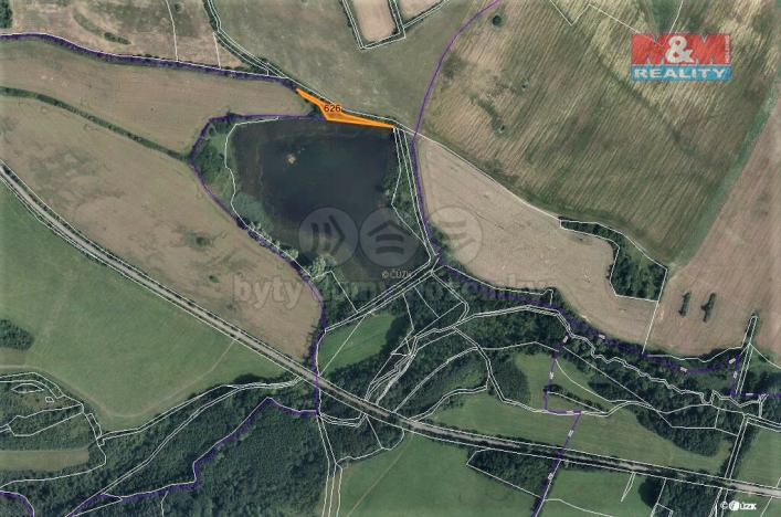 Prodej trvalého travního porostu, Mašťov, 1371 m2