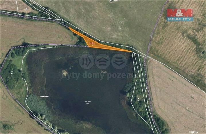 Prodej trvalého travního porostu, Mašťov, 1371 m2