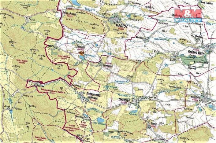 Prodej trvalého travního porostu, Mašťov, 1371 m2