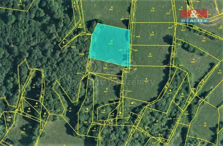 Prodej trvalého travního porostu, Blansko, 2185 m2