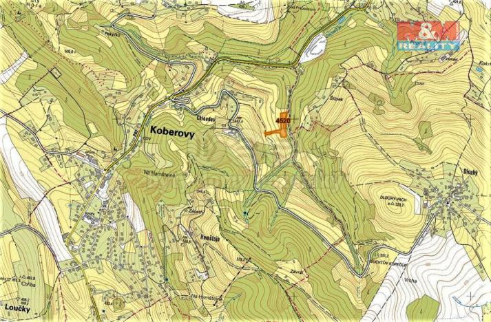 Prodej trvalého travního porostu, Koberovy, 6562 m2